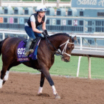 How Competition Levels Shape Race Outcomes