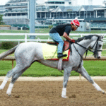 How Climate Differences Affect Race Schedules