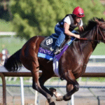 How Conformation Helps Prevent Injuries