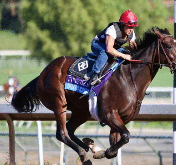 How Conformation Helps Prevent Injuries