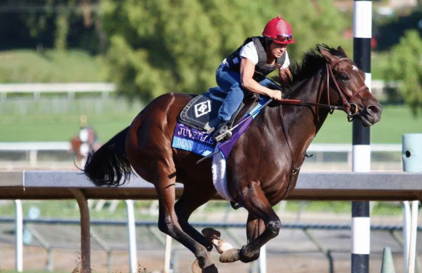 How Conformation Helps Prevent Injuries