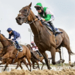 How Early Handling Shapes Racehorse Confidence