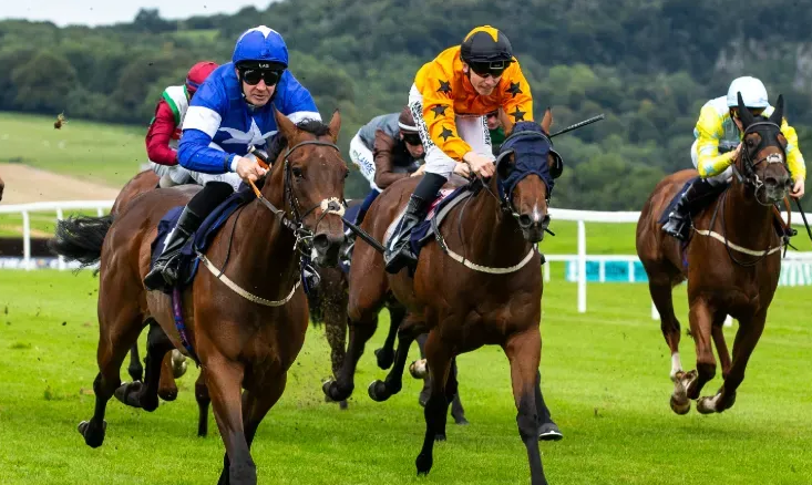 How Famous Horses Inspired Modern Brands