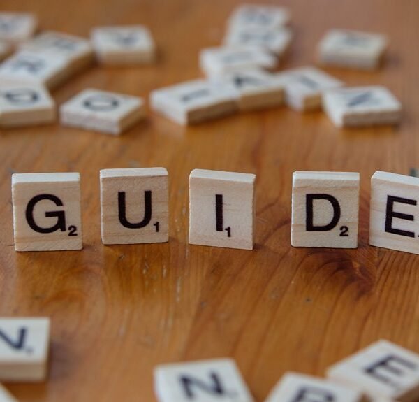 startup fundraising strategy guide for founders